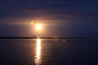 Florida - Jan 2024