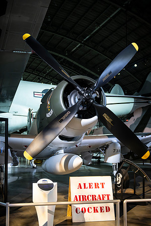 VetsRoll_2026_3210