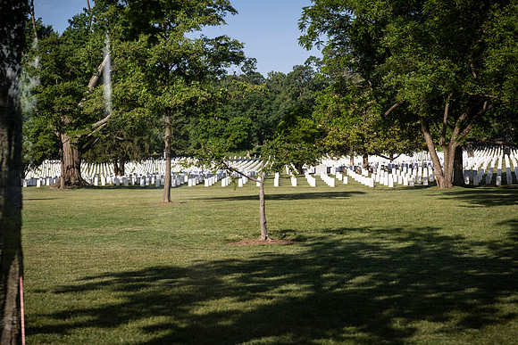 VetsRoll_2026_4160
