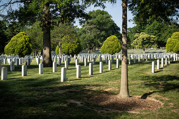 VetsRoll_2026_4165