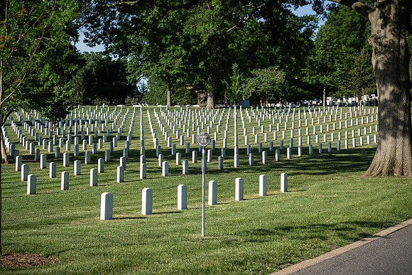 VetsRoll_2026_4168