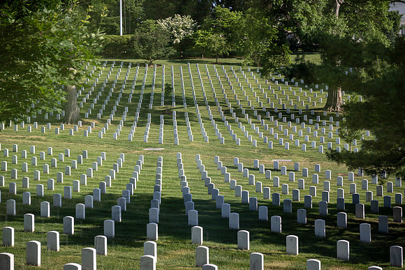 VetsRoll_2026_4177