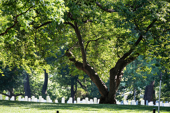 VetsRoll_2026_5636