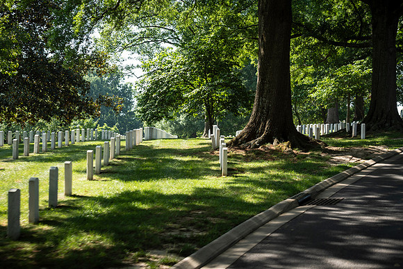 VetsRoll_2026_5794