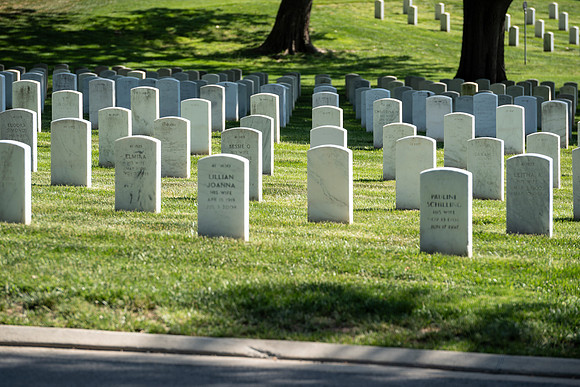VetsRoll_2026_5790